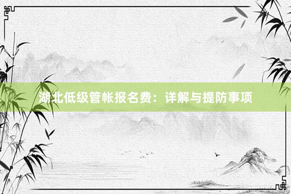 湖北低级管帐报名费：详解与提防事项
