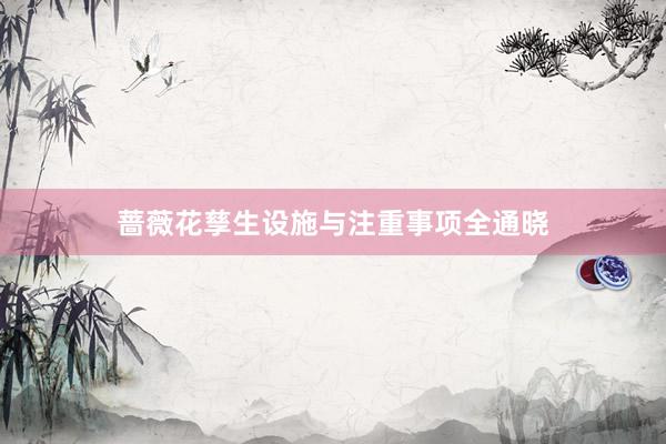 蔷薇花孳生设施与注重事项全通晓