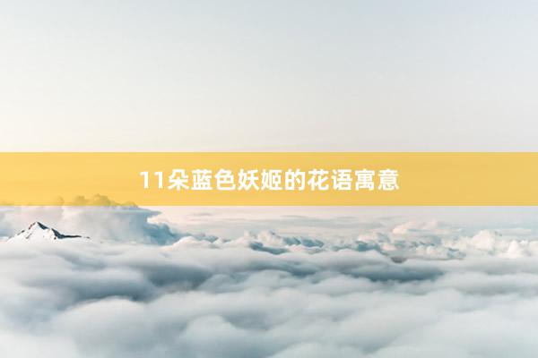 11朵蓝色妖姬的花语寓意