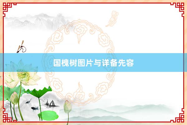 国槐树图片与详备先容