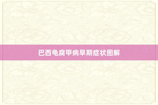 巴西龟腐甲病早期症状图解